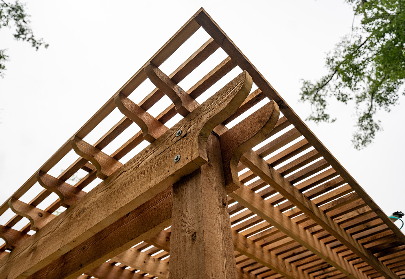 A pergola made out of pressure-treated lumber